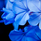 Image for article titled Shooting Challenge Freelensing Gallery 1